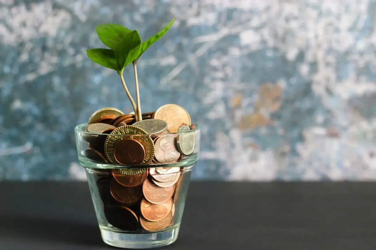 “Triodos is zwaar ondergewaardeerd”